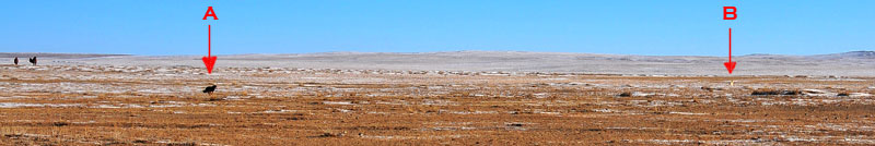Mongolia